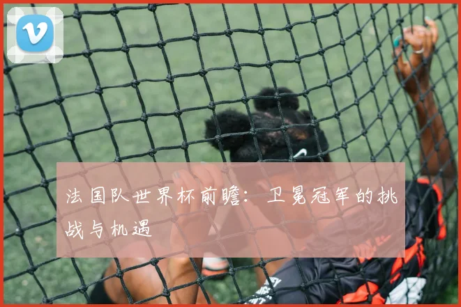 法国队世界杯前瞻:卫冕冠军的挑战与机遇