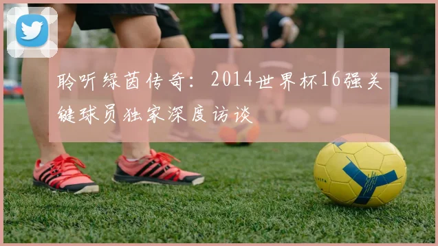 聆听绿茵传奇：2014世界杯16强关键球员独家深度访谈