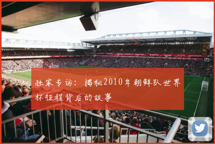 独家专访：揭秘2010年朝鲜队世界杯征程背后的故事