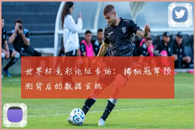 世界杯竞彩论坛专访：揭秘冠军预测背后的数据玄机