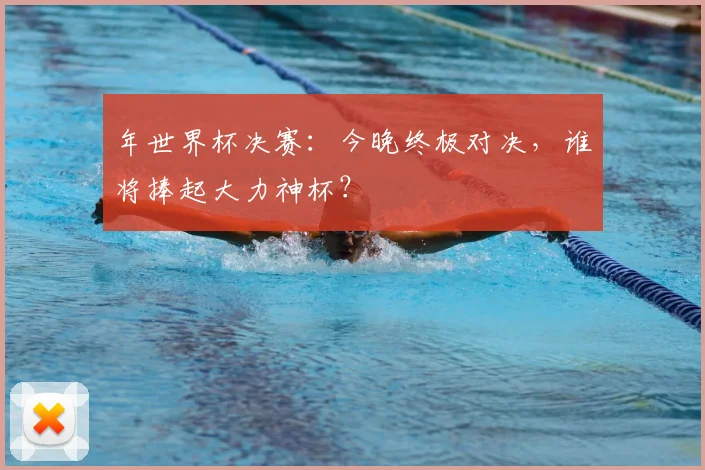 年世界杯决赛：今晚终极对决，谁将捧起大力神杯？