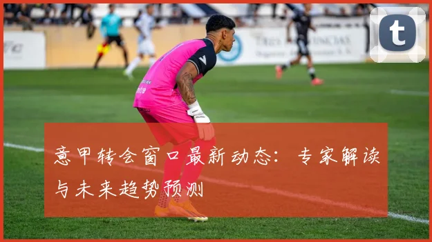 意甲转会窗口最新动态:专家解读与未来趋势预测